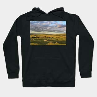 Summers Evening on Dartmoor Hoodie